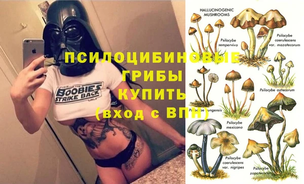бошки Абинск