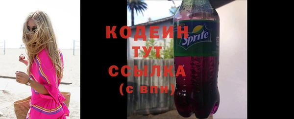 крисы Надым